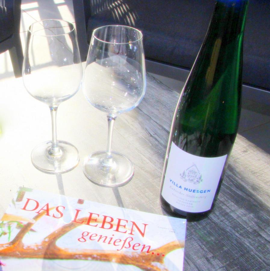 Mosel-Loggia - Luxusapartment -Terrass - Klimaanlage Verbandsgemeinde Verbandsgemeinde Traben-Trarbach Buitenkant foto
